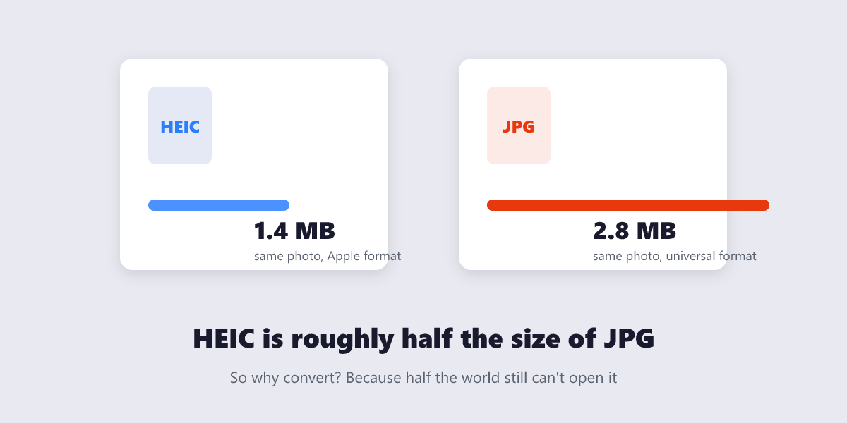 Bar comparison showing a HEIC photo at 1.4 MB versus the same photo as JPG at 2.8 MB
